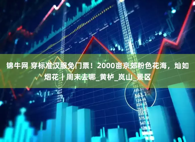 锦牛网 穿标准汉服免门票！2000亩京郊粉色花海，灿如烟花｜周末去哪_黄栌_岚山_景区
