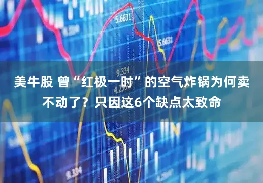 美牛股 曾“红极一时”的空气炸锅为何卖不动了？只因这6个缺点太致命